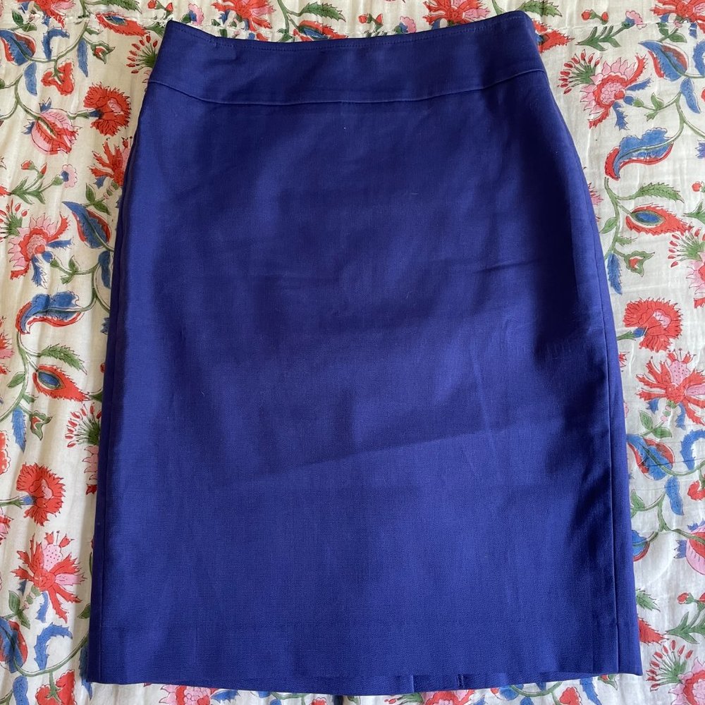 Ann Taylor A-Line Skirt